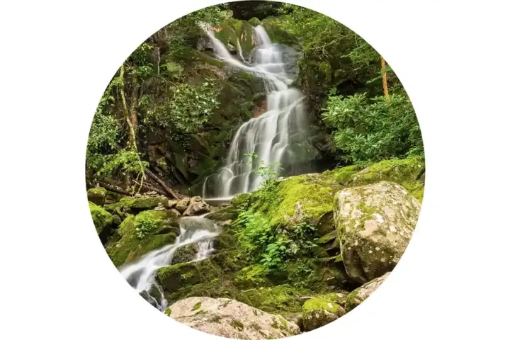 Water flowing over the 25-foot crest of Abrams Falls into a deep rock basin in Great Smoky Mountains National Park.