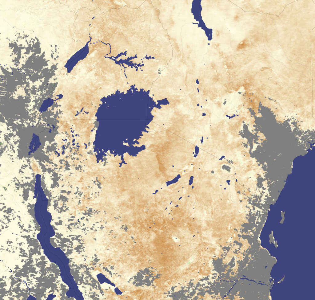 Drought-affected landscape in East Africa