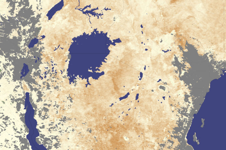 Drought-affected landscape in East Africa