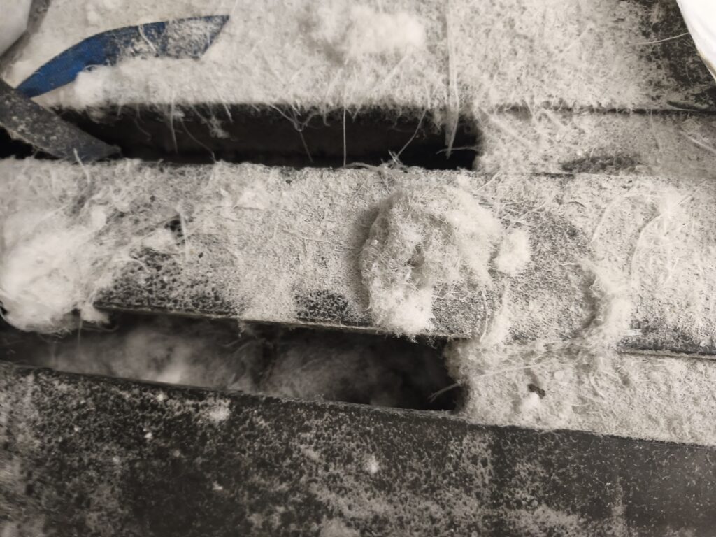 Photograph of angel-hair microplastics