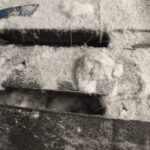 Photograph of angel-hair microplastics