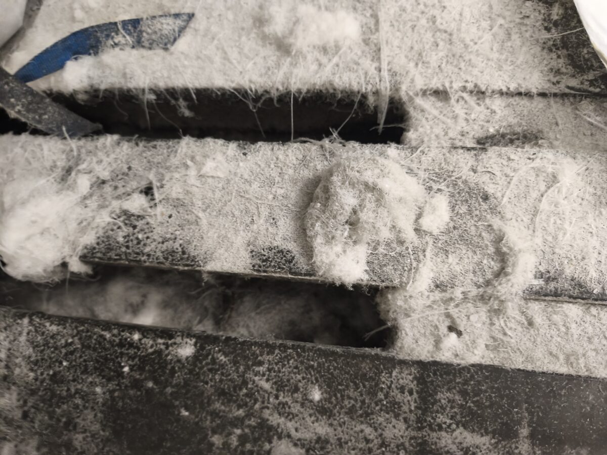 Photograph of angel-hair microplastics