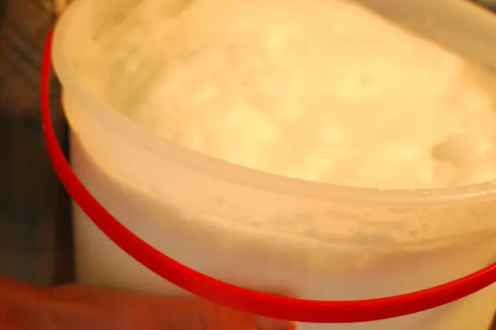 Glass of raw goat milk representing unpasteurized dairy products
