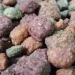 Dry cat food pieces arranged in a container for a pet food safety story