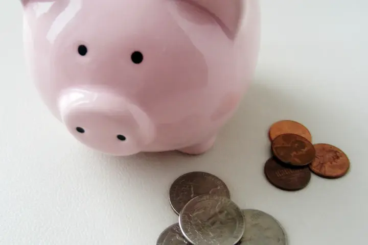 Piggy bank with coins representing personal savings.