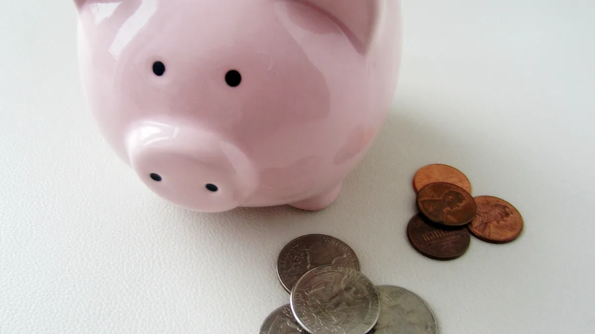 Piggy bank with coins representing personal savings.