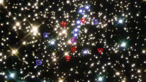 Hubble image showing white dwarf stars in the globular cluster NGC 6397.