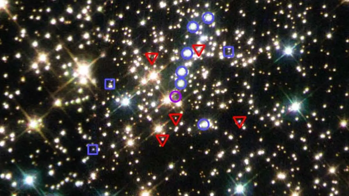 Hubble image showing white dwarf stars in the globular cluster NGC 6397.