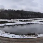 Snow covering the University of Mississippi Field Station landscape