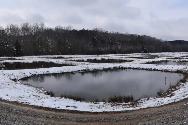 Snow covering the University of Mississippi Field Station landscape
