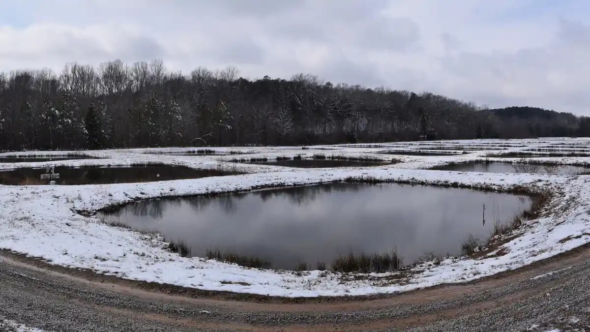 Snow covering the University of Mississippi Field Station landscape