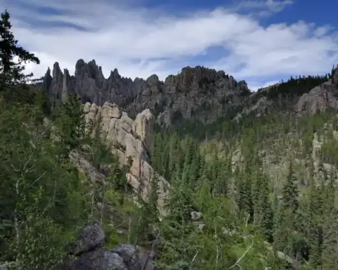 Black Hills landscape in South Dakota