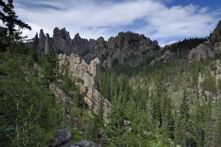 Black Hills landscape in South Dakota