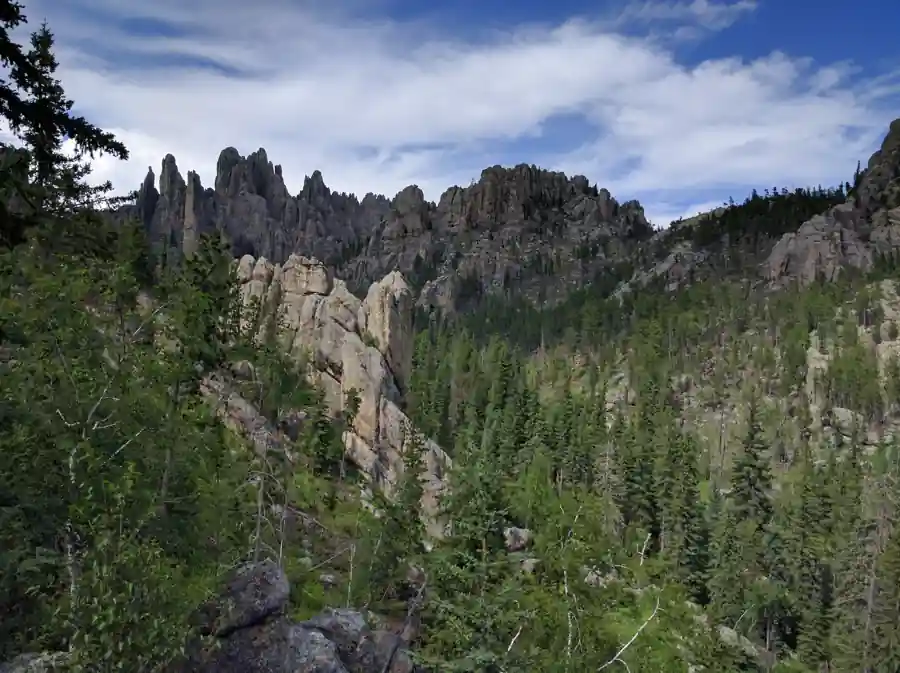 Black Hills landscape in South Dakota