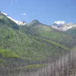 Charred tree stumps and burned forest floor in the foreground with snow-capped mountain peaks rising in the background