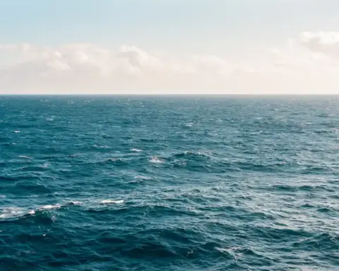 Ocean waves along a rocky coastline.