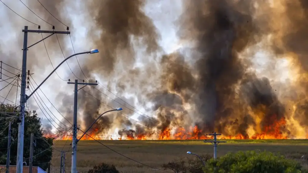 Wildfire burning across a rural field under a clear sky