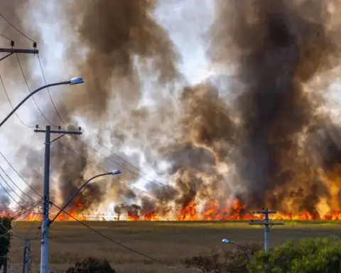 Wildfire burning across a rural field under a clear sky