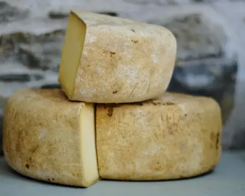 Raw cheddar cheese recall