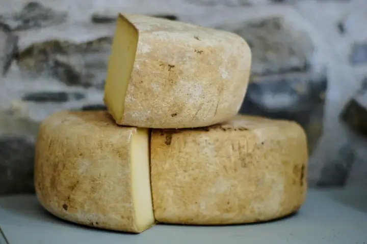 Raw cheddar cheese recall