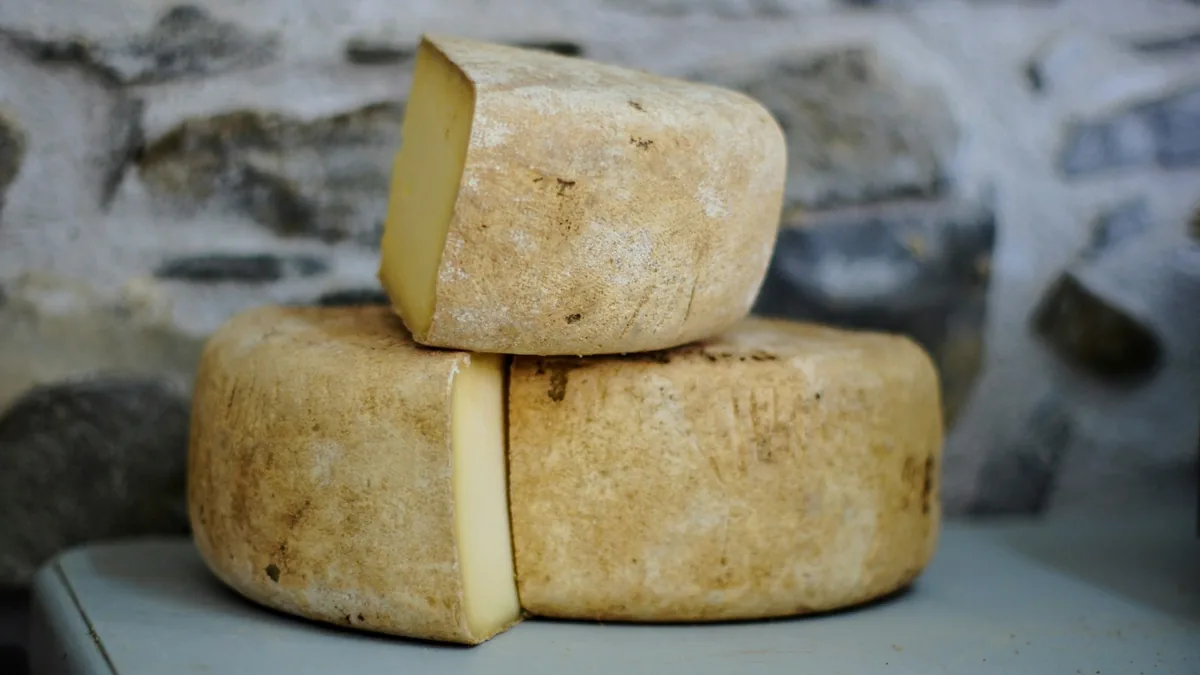 Raw cheddar cheese recall