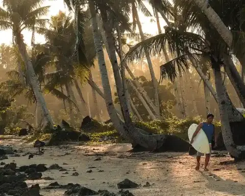 A surfer carrying a board walks along a palm-lined beach on Siargao Island in the Philippines