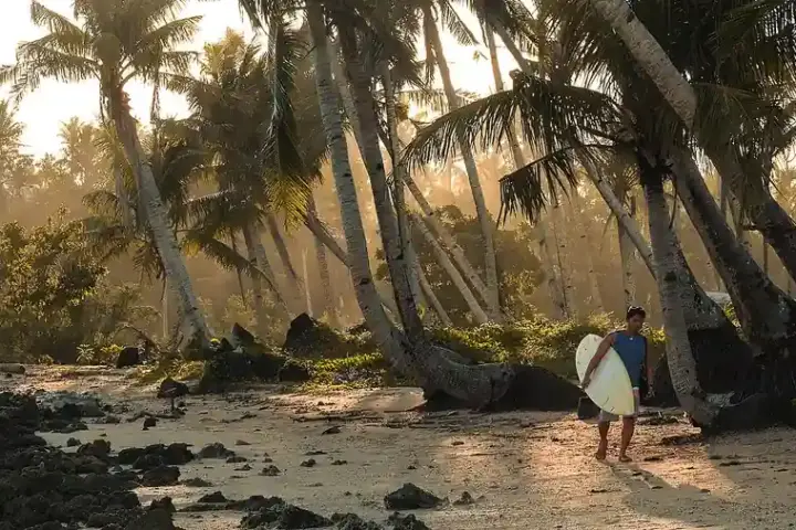 A surfer carrying a board walks along a palm-lined beach on Siargao Island in the Philippines