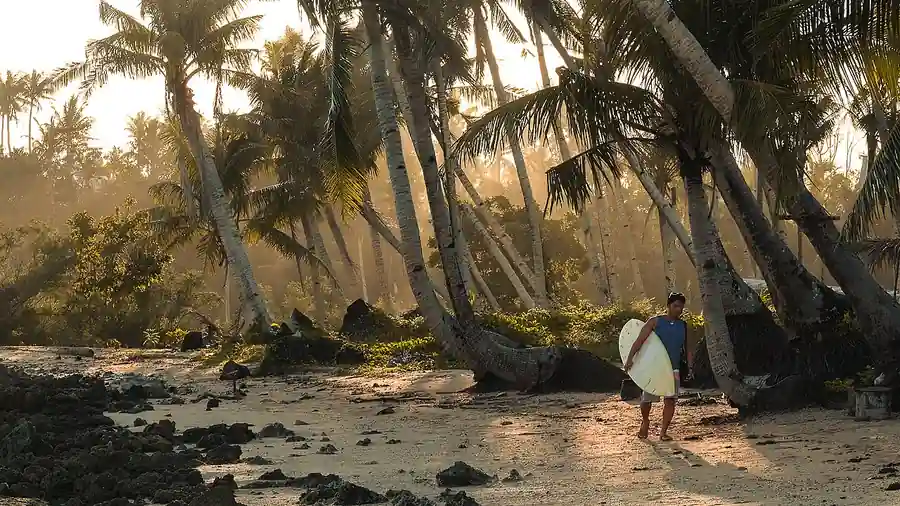 A surfer carrying a board walks along a palm-lined beach on Siargao Island in the Philippines