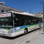 White Citelis city bus in Vlora, Albania, on a sunny urban street with parked cars, buildings, and clear blue sky.