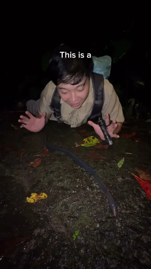 Giant moniligastrid earthworm (Drawida/Metaphire sp.) held by researcher in Western Ghats rainforest — rare in situ documentation of Asia-endemic ecosystem engineer