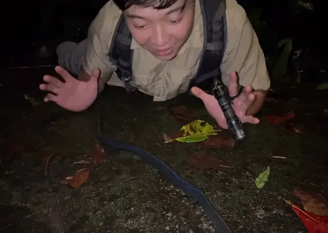 Giant moniligastrid earthworm (Drawida/Metaphire sp.) held by researcher in Western Ghats rainforest — rare in situ documentation of Asia-endemic ecosystem engineer