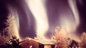 Green and purple aurora borealis forming luminous curtains in the night sky above a snow-covered cabin in Alaska