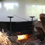 Traditional sugarcane crushing machine extracting juice for jaggery production in rural India