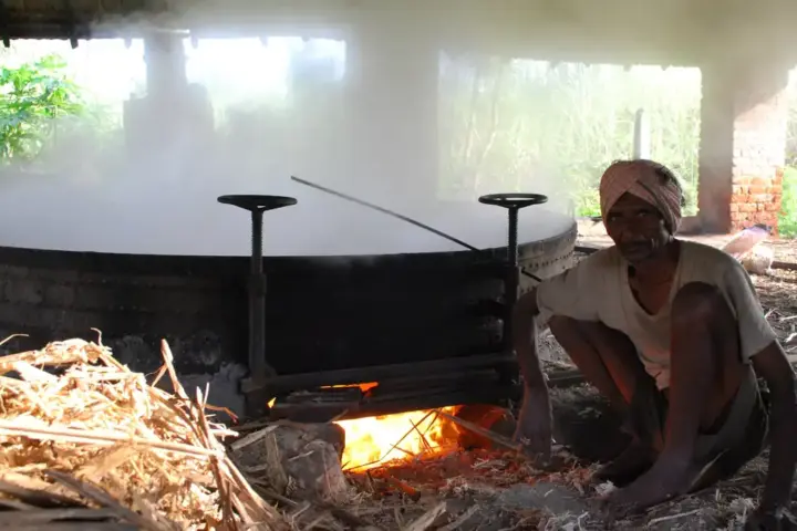 Traditional sugarcane crushing machine extracting juice for jaggery production in rural India