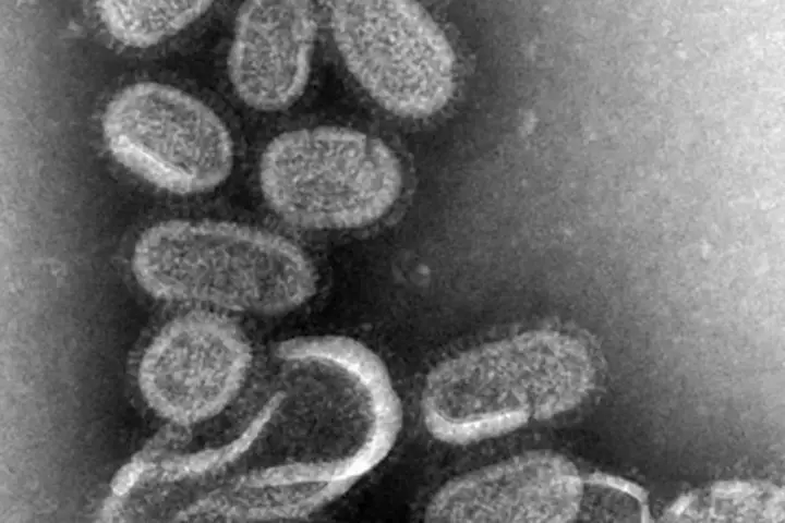 Illustration image related to: Why Is the Flu Starting So Early in 2026? CDC Week 40 Data on the H1N1 G155E Mut