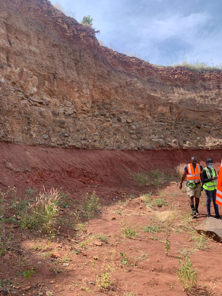 Photograph of an exposed soil profile showing layered earth