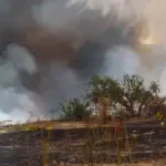 Wildfire at Camp Pendleton