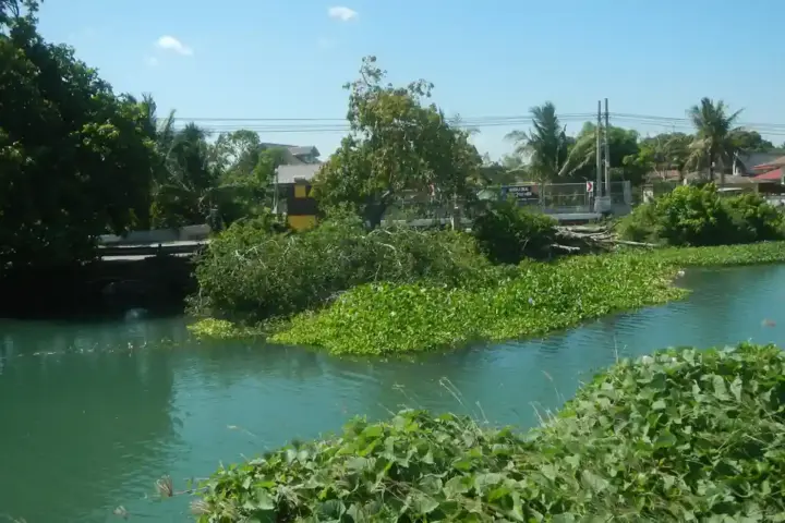 Irrigation water flowing over rows of crops in an agricultural field