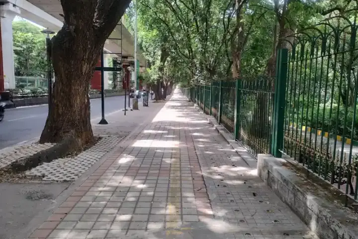 Tree-lined footpath in Jayanagar, Bengaluru