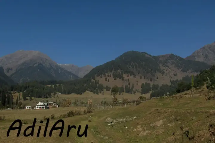 A scenic mountain valley landscape in Kashmir with forested slopes