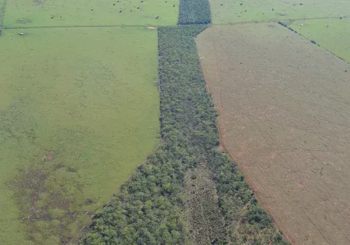 Forest corridor landscape in Pontal do Paranapanema, Brazil