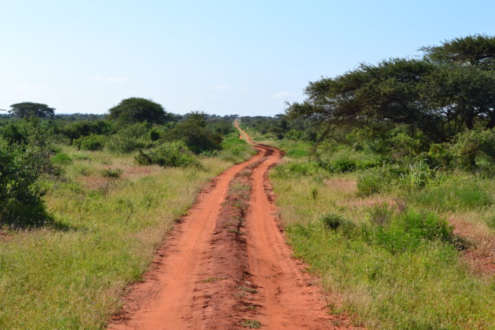 Savanna and perimeter fence near Tsavo West National Park in Kenya