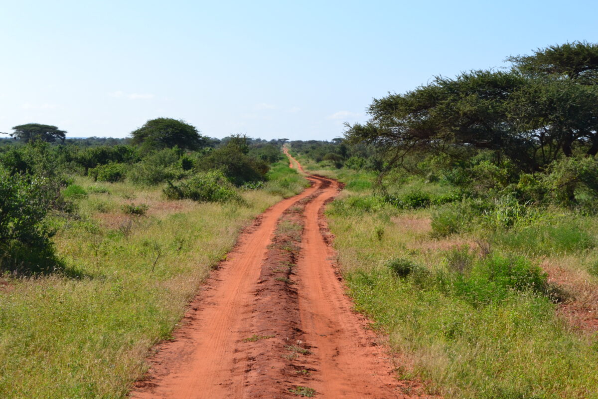 Savanna and perimeter fence near Tsavo West National Park in Kenya