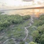 Aerial view of mangrove wetland at Turzen Point