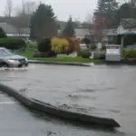 Flood water covering a street with vehicles in an urban area