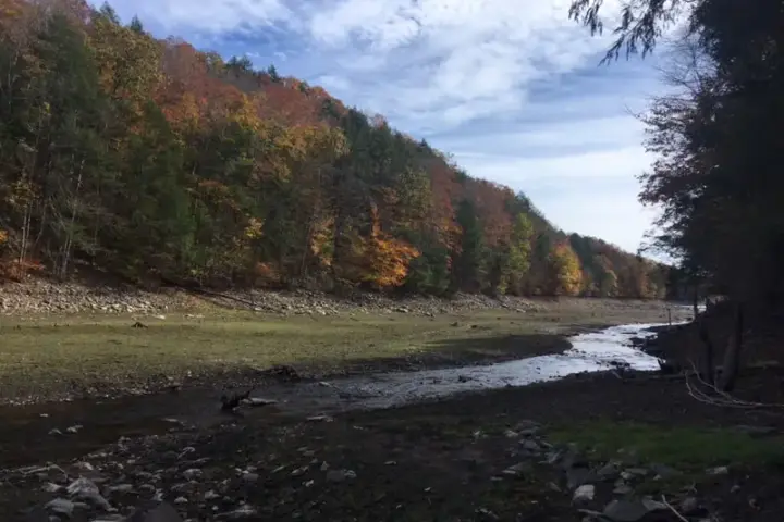 Forest at Mianus River Gorge in New York