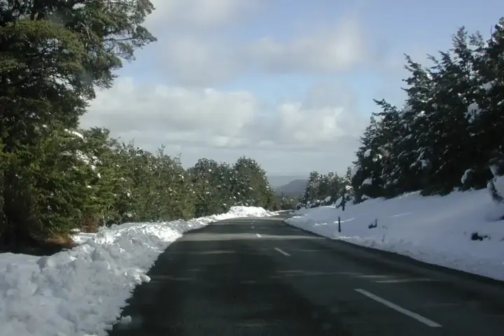 A winding mountain road cutting through snow-covered forest and rocky terrain under a pale sky