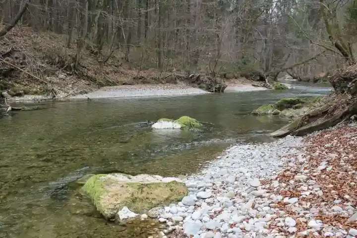 The Mangfall River near Valley in Bavaria, part of the wider landscape around Munich’s drinking-water source area.