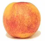 Nectarine used as an illustrative image for a California orchard-dispute report