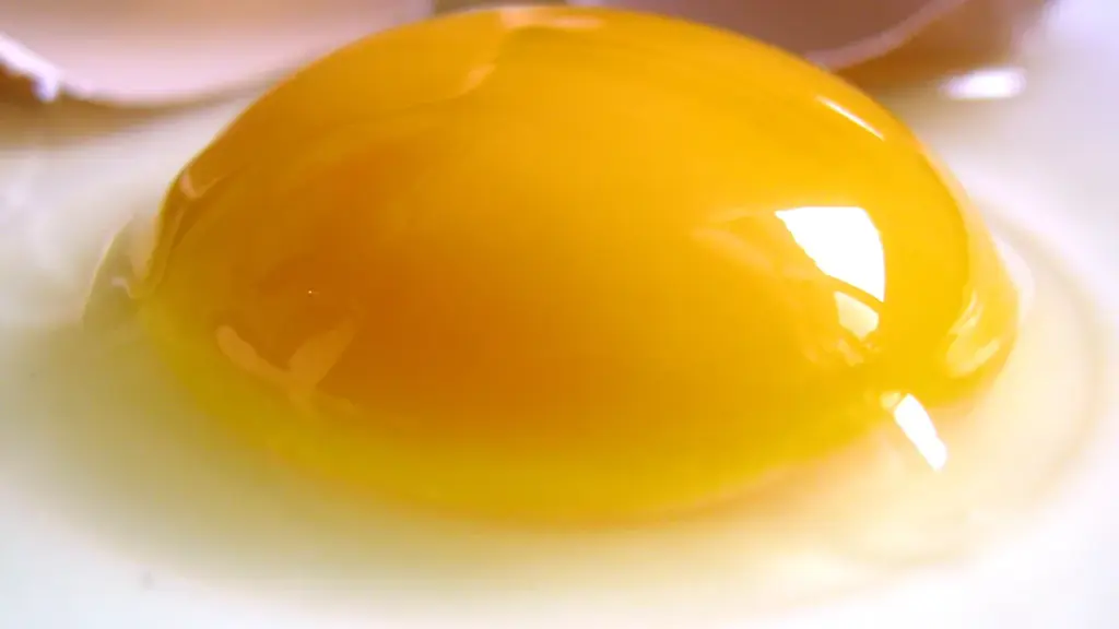 A fresh cracked raw egg resting on a clean surface with a prominent intact golden yolk and clear egg white.